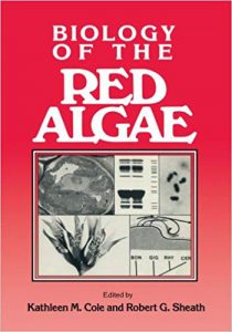 red algae